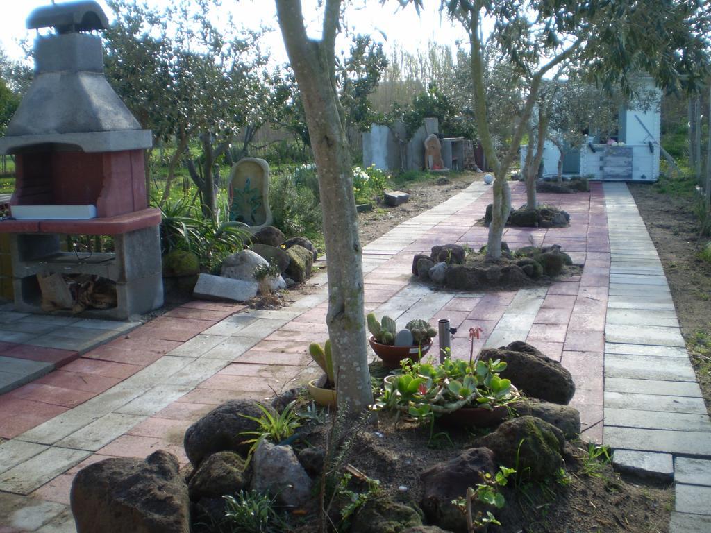 Il Giardino Di Emilio Bed and Breakfast Marrùbiu Værelse billede