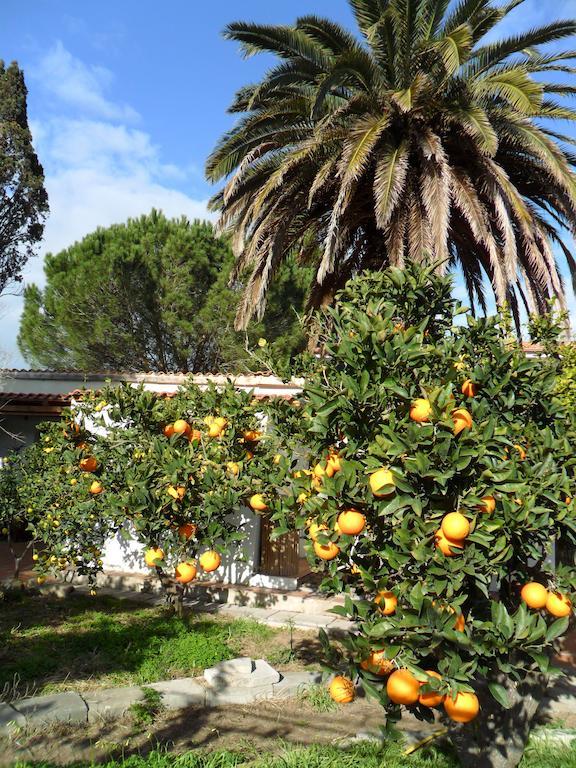 Il Giardino Di Emilio Bed and Breakfast Marrùbiu Værelse billede